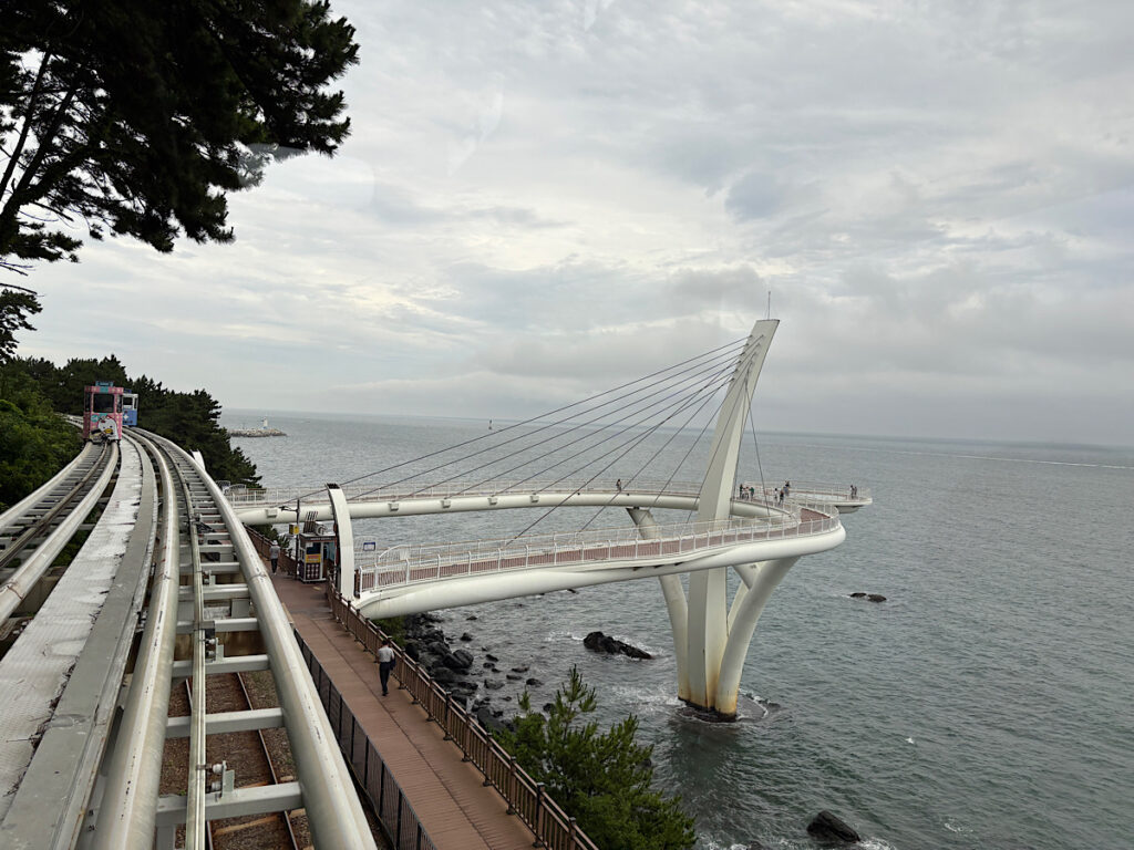 海側の写真