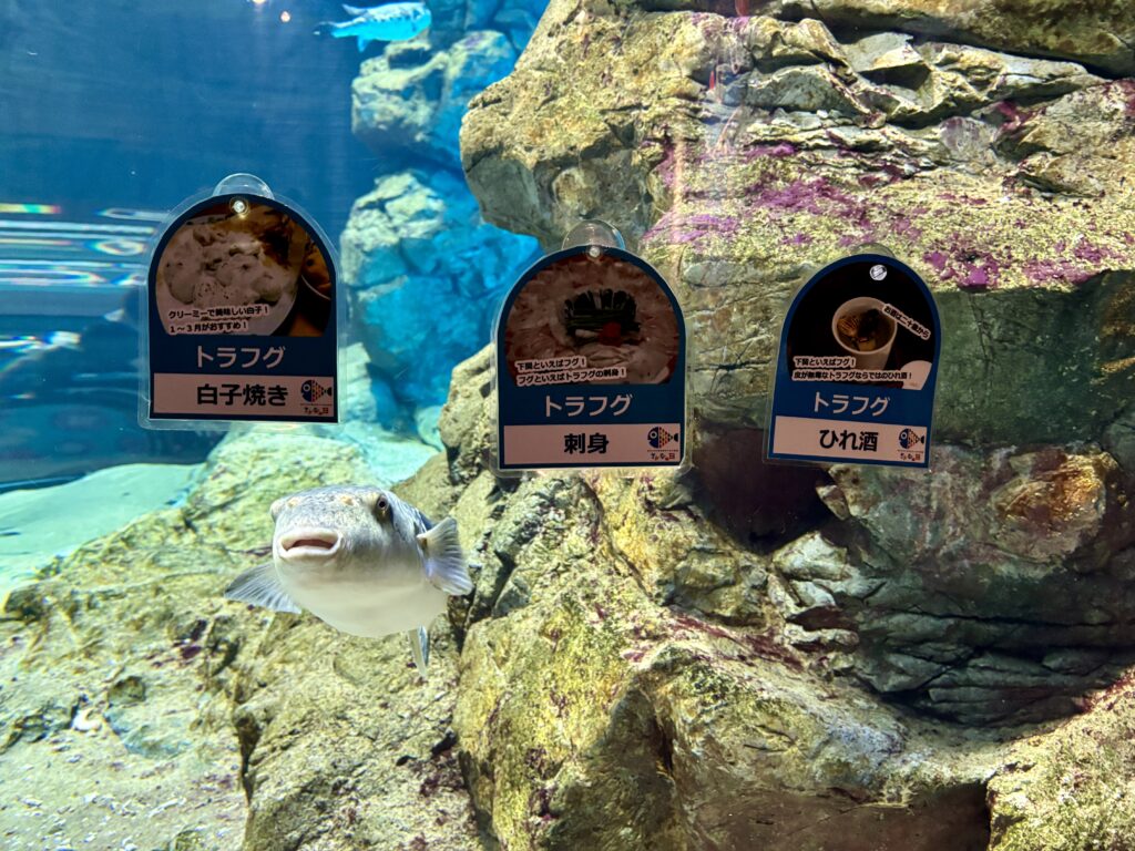 フグとフグの調理法が書かれた紙