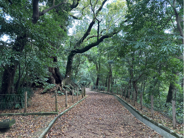 城山遊歩道