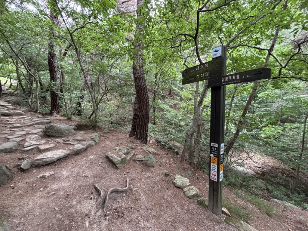 登山道
