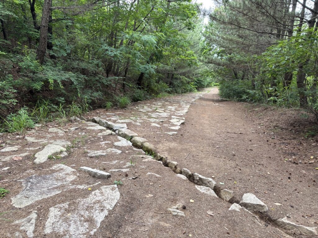 幅の広い登山道