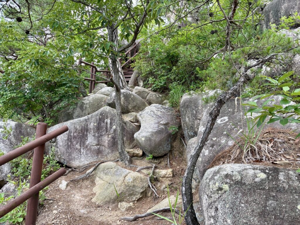 大きな岩が落ちている写真。