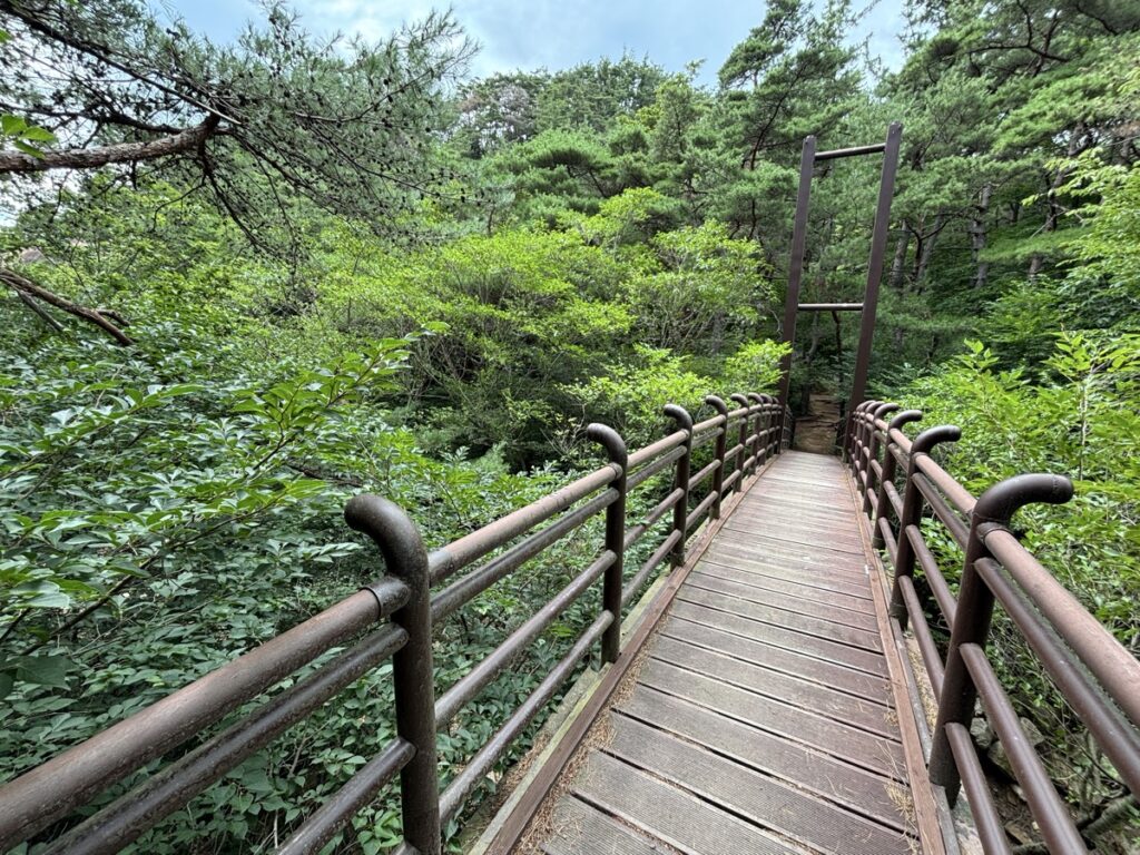 橋を写した写真