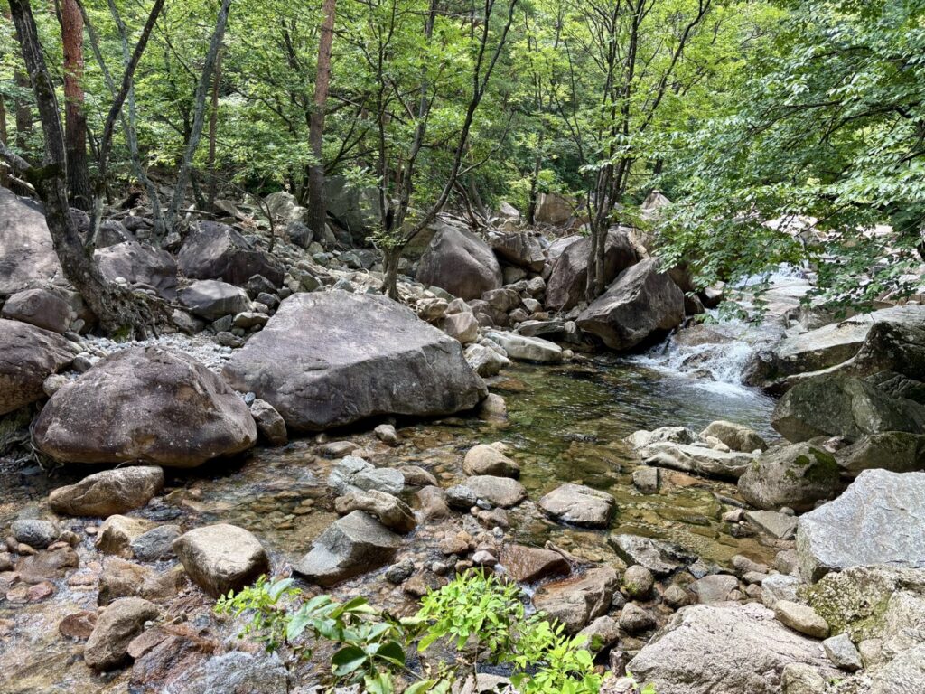 川の写真